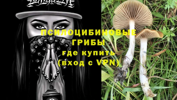 МДПВ Кинешма